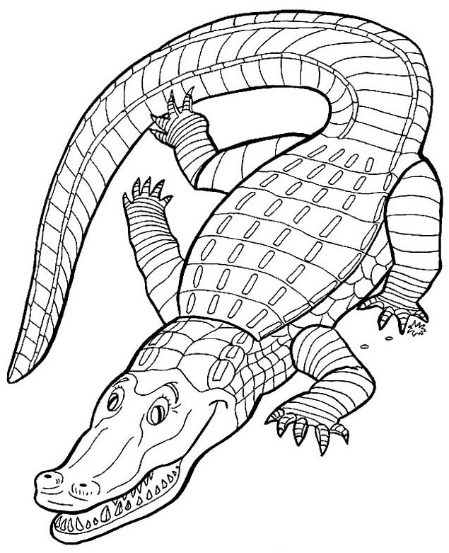 Dibujo de Cocodrilo Sencillo para Colorear y Imprimir