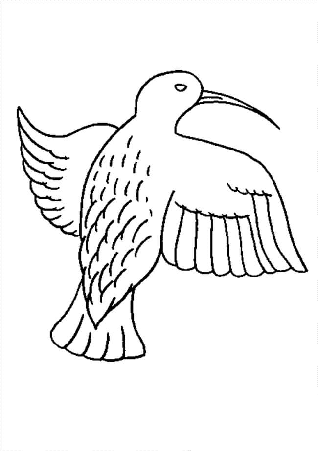 dibujo bonito colibri para imprimir y colorear