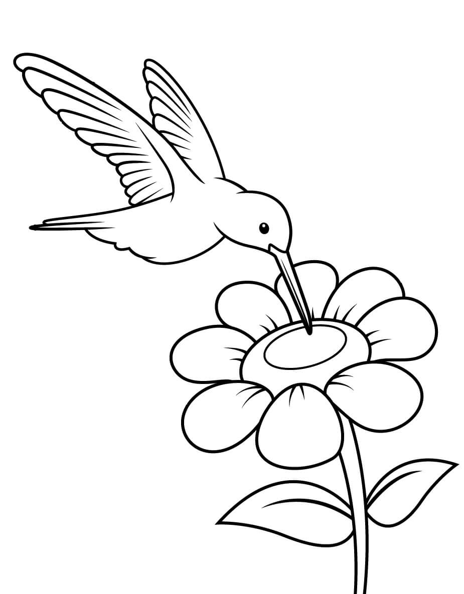 dibujo colibri con bola para imprimir y colorear