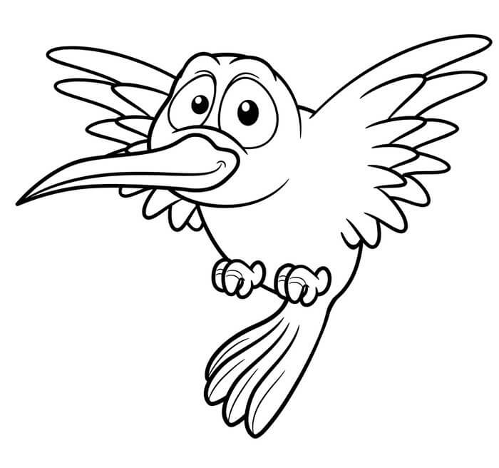 dibujo colibri en arbol para imprimir y colorear