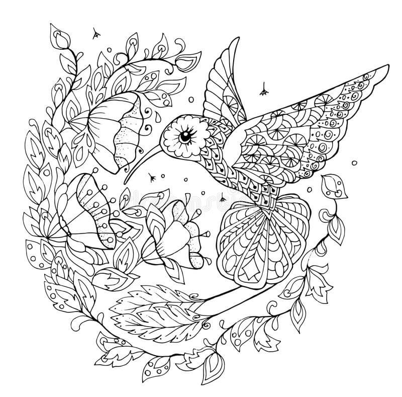 dibujo colibri imprimible para imprimir y colorear
