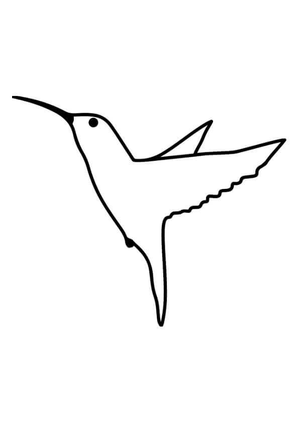 dibujo colibri mandala para imprimir y colorear