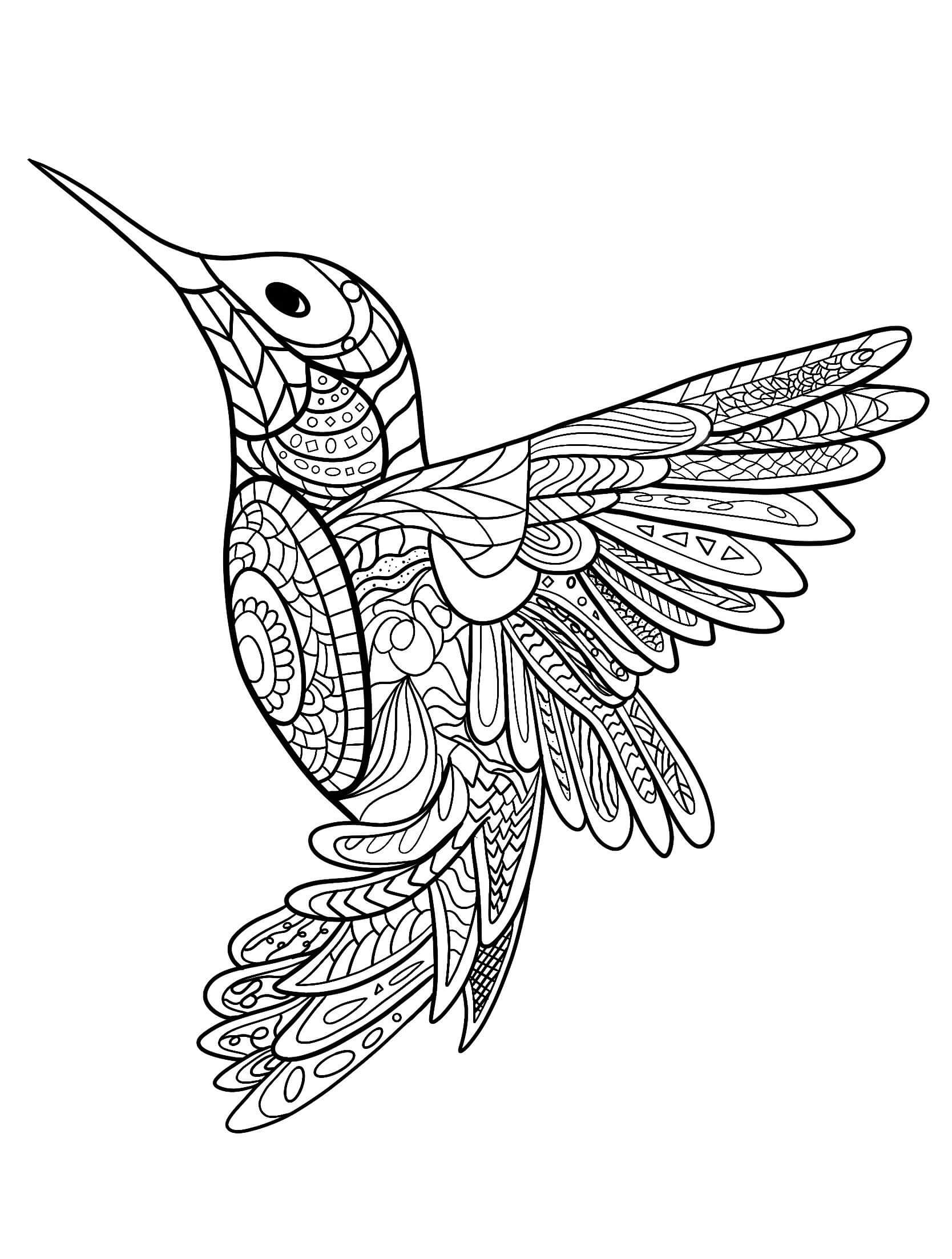 dibujo colibri simple con flor para imprimir y colorear