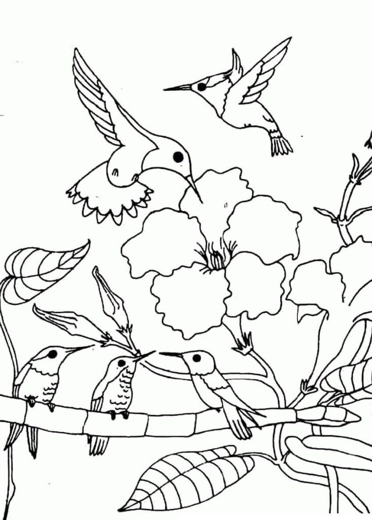 Dibujo de Familia Básica de Colibries En El Árbol para Colorear y Imprimir