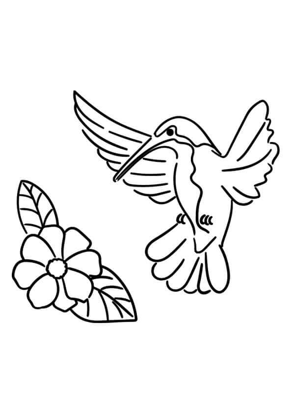 dibujo flor y hoja de colibri para imprimir y colorear