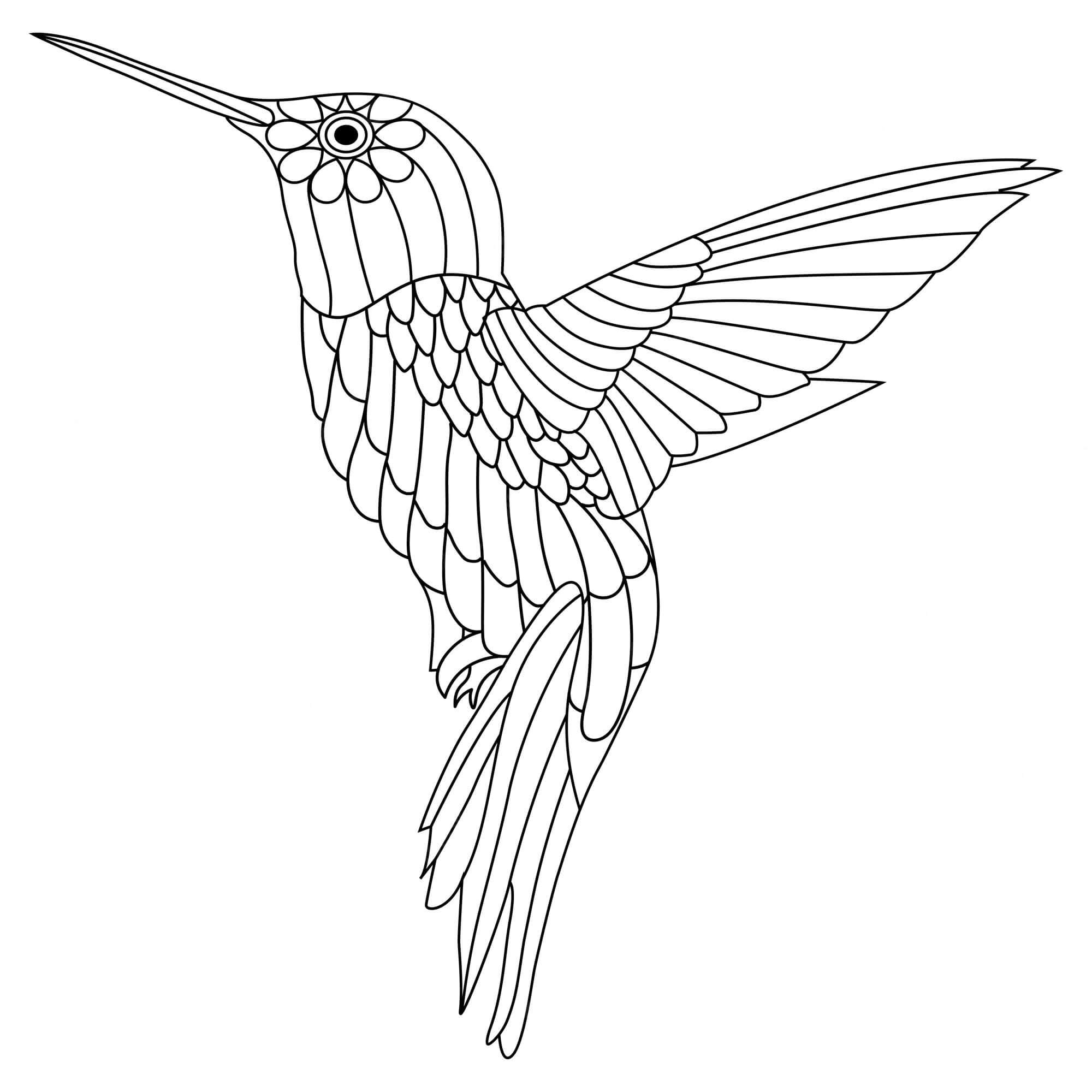 dibujo gran colibri para imprimir y colorear