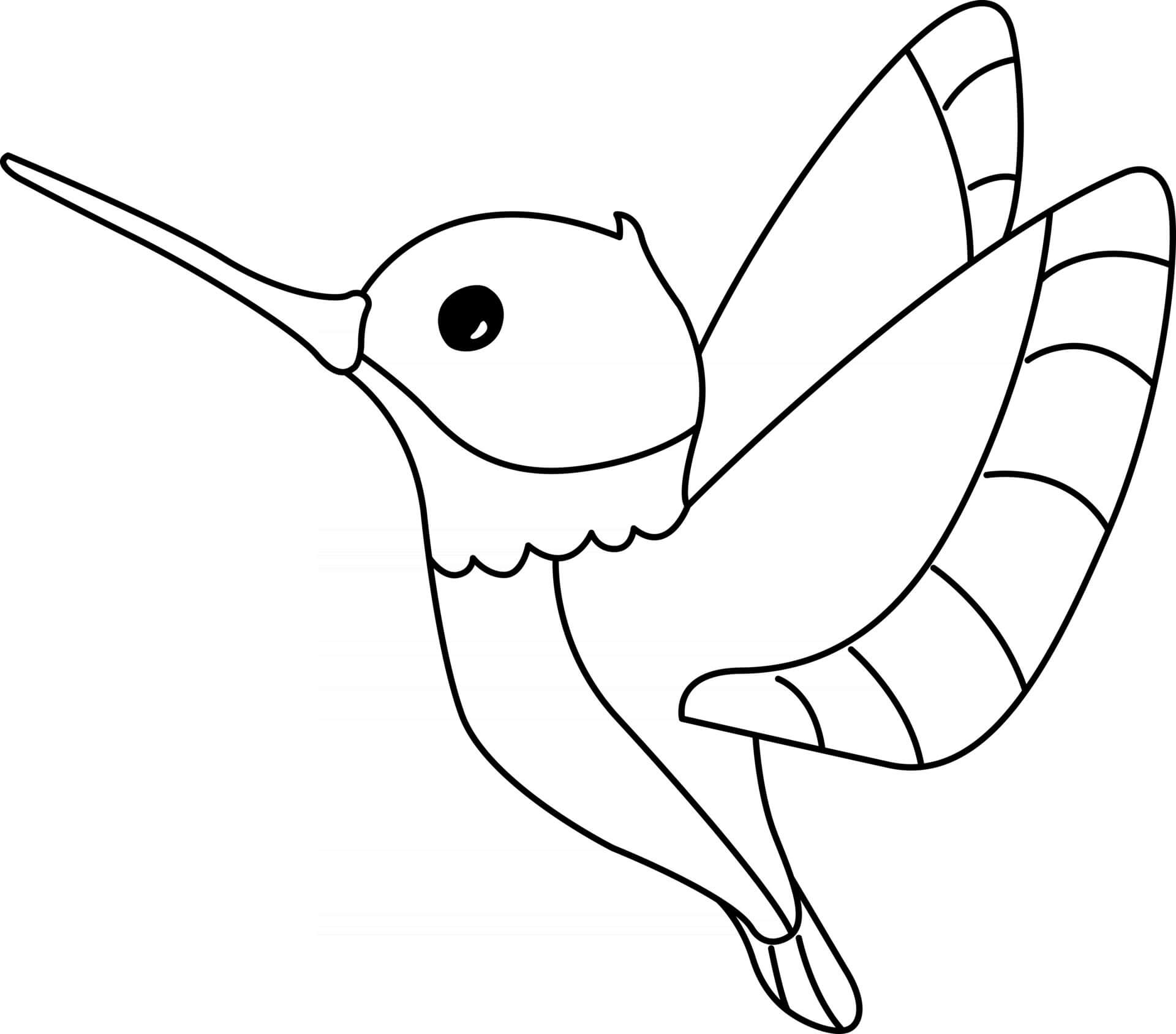 dibujo impresionante colibri para imprimir y colorear