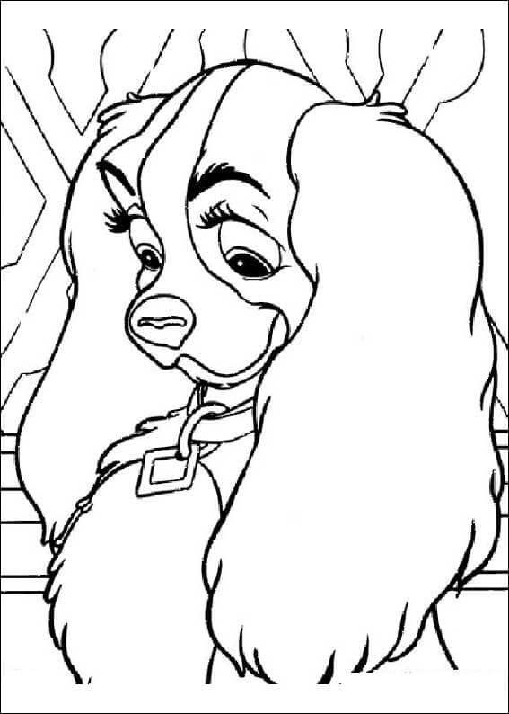 Dibujo de Cara Señora Perro Llevando Collar para Colorear y Imprimir