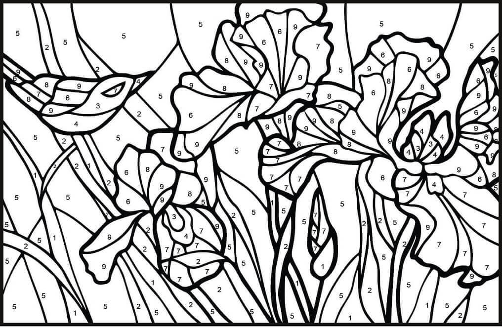 Dibujo de Color de Lirios por Número para Colorear y Imprimir