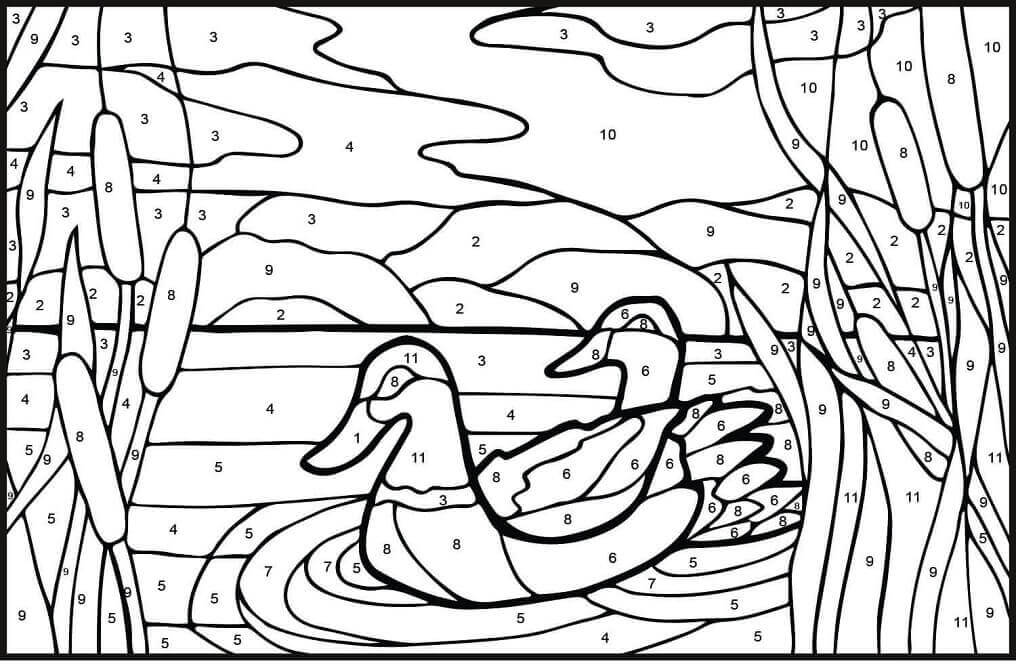 Dibujo de Color de Los Patos Mullard por Número para Colorear y Imprimir