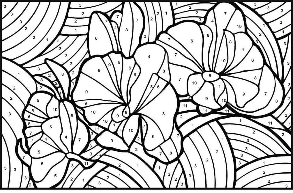 Dibujo de Color de Orquídeas por Número para Colorear y Imprimir