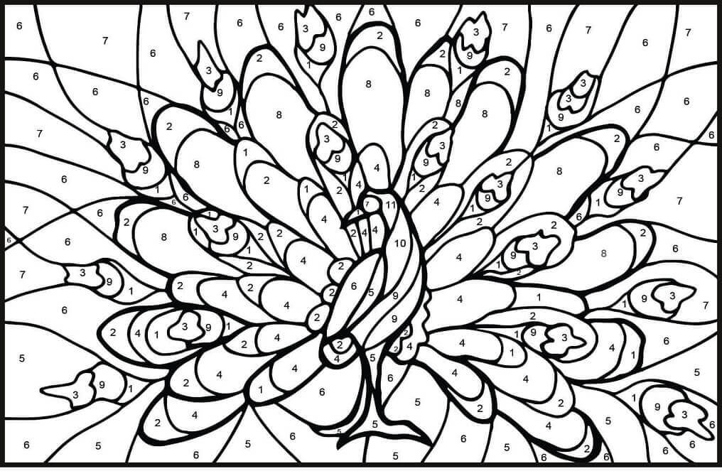 Dibujo de Color de Pavo Real por Número para Colorear y Imprimir