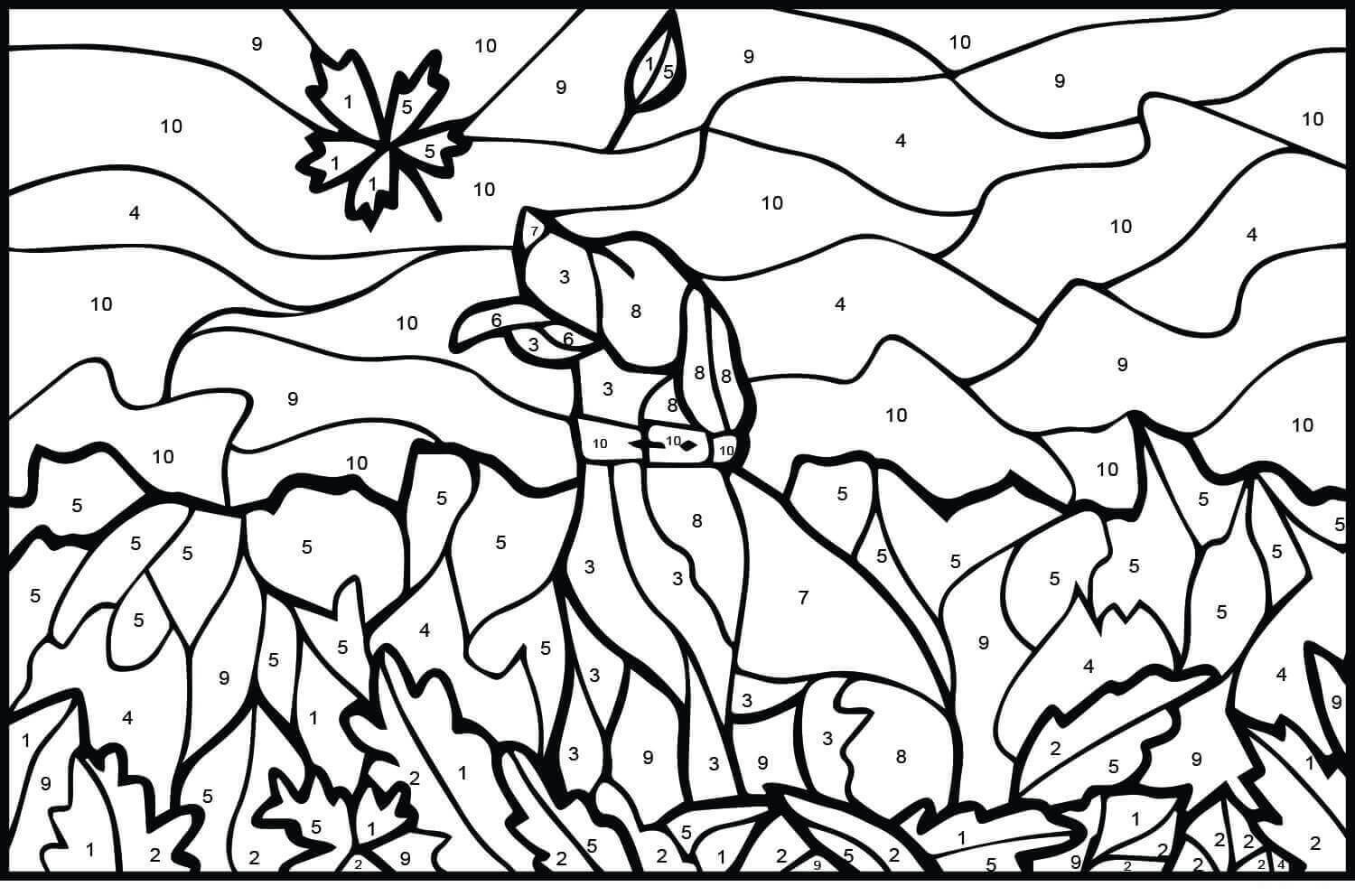 Dibujo de Color de Perro por Número para Colorear y Imprimir