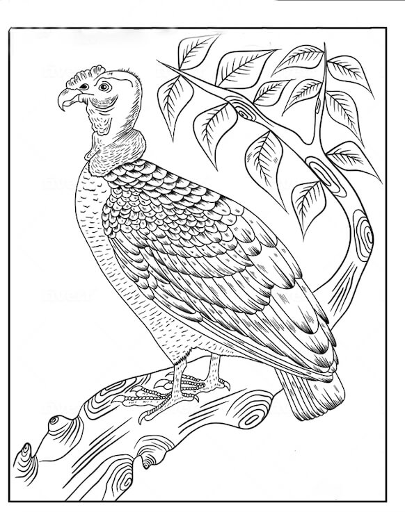 Dibujo de Cóndor de California de Pie En La Rama de Un Árbol para Colorear y Imprimir