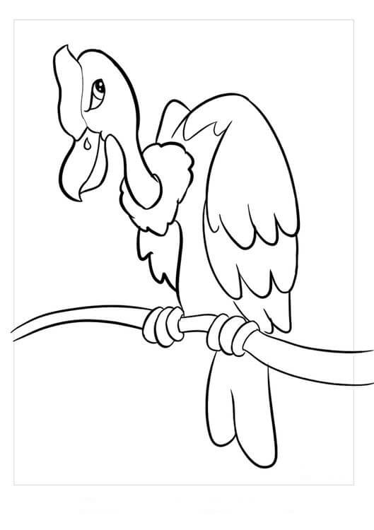 Dibujo de Cóndor de Dibujos Animados para Colorear y Imprimir