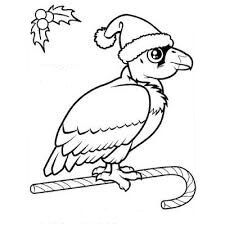 Dibujo de Cóndor En Navidad para Colorear y Imprimir