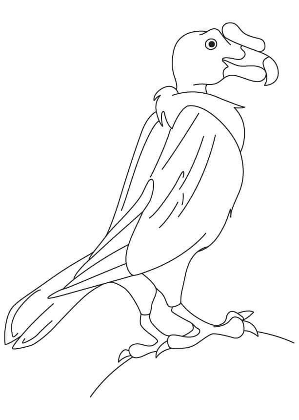 Dibujo de Dulce Cóndor para Colorear y Imprimir