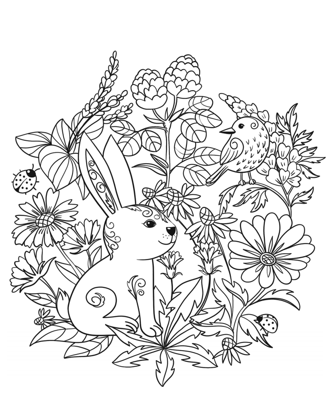 Dibujo de Un Conejo para Colorear y Imprimir