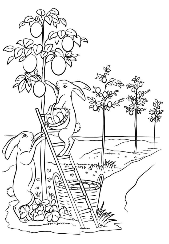 Dibujo de Bonitos Conejos de Pascua para Colorear y Imprimir