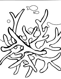 Dibujo de Bonito Coral para Colorear y Imprimir