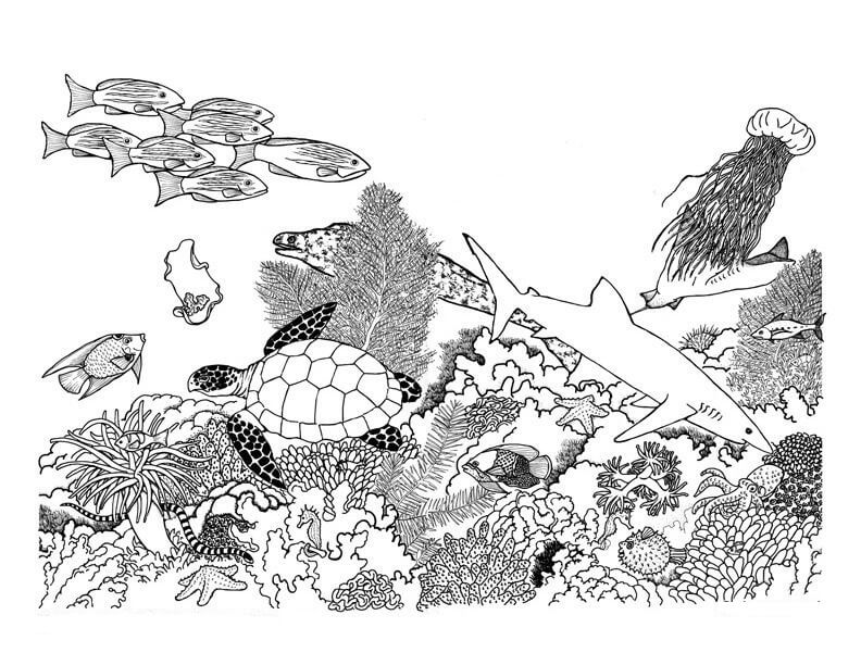 Dibujo de Colorea El Arrecife de Coral para Colorear y Imprimir
