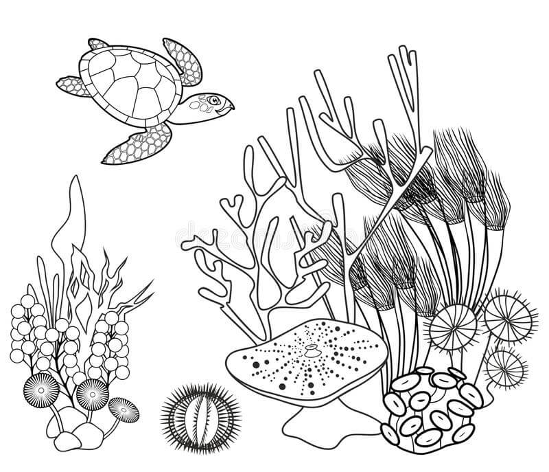 Dibujo de Coral Bajo El Mar para Colorear y Imprimir