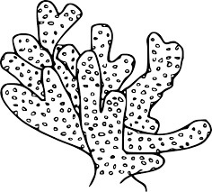 Dibujo de Coral Digital para Colorear y Imprimir