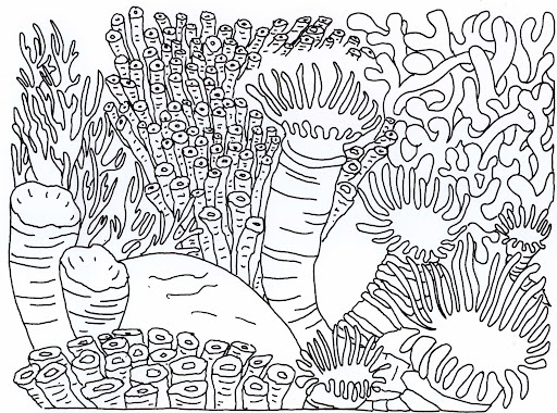 Dibujo de Coral Duro para Colorear y Imprimir
