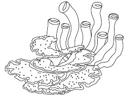 Dibujo de Coral Normal para Colorear y Imprimir