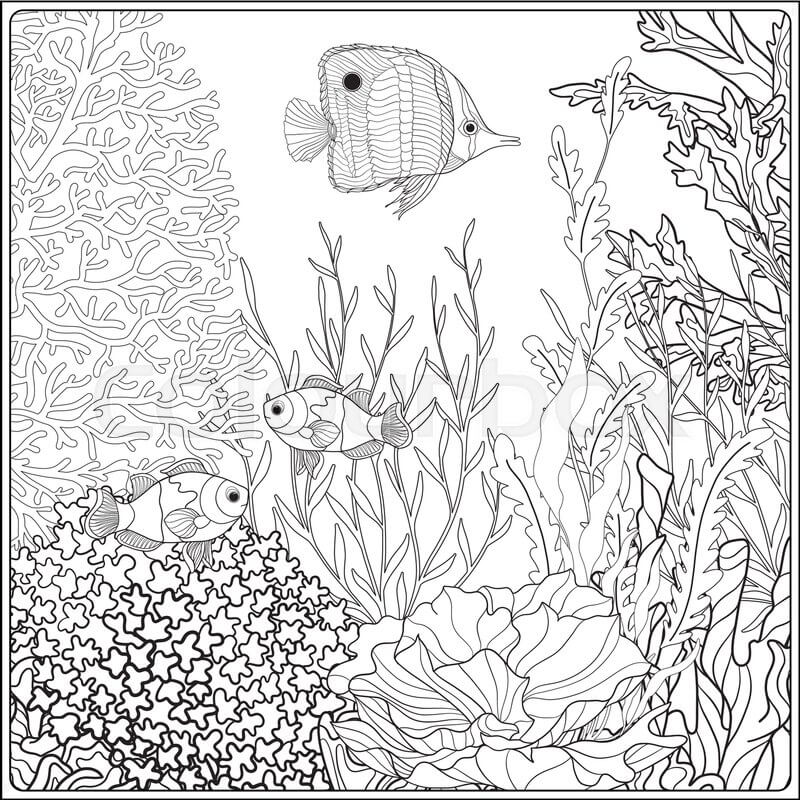 Dibujo de Coral para Adulto para Colorear y Imprimir