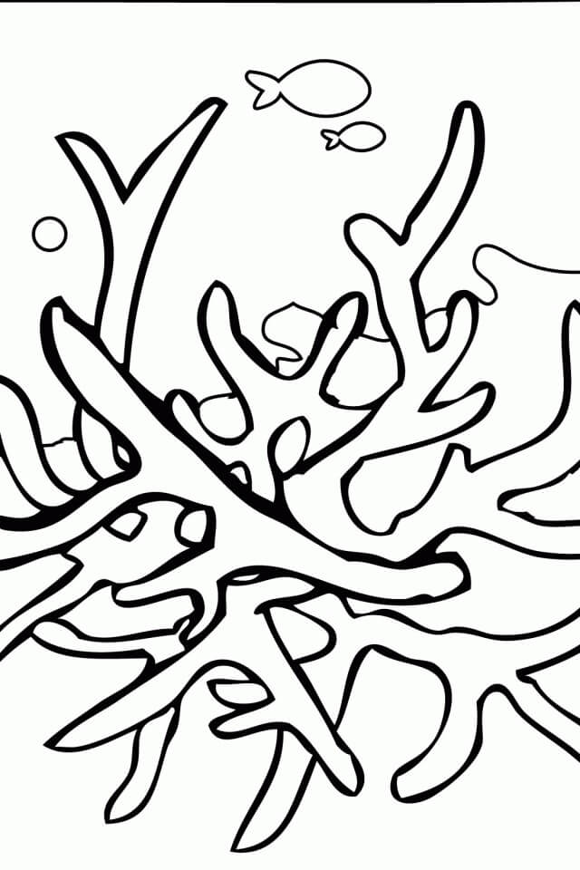 Dibujo de Coral Simple para Colorear y Imprimir