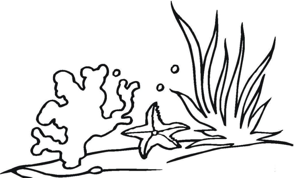 Dibujo de Coral y Estrella de Mar para Colorear y Imprimir