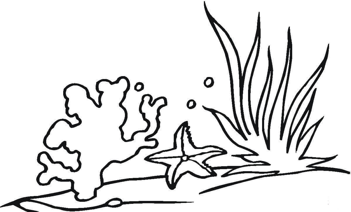 Dibujo de Coral y Estrella de Mar para Colorear y Imprimir