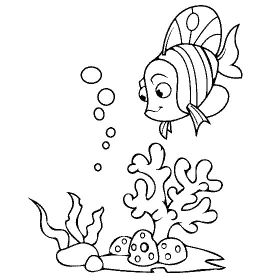 Dibujo de Coral y Pescado para Colorear y Imprimir