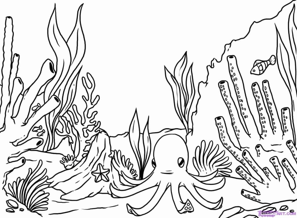 Dibujo de Coral y Pulpo para Colorear y Imprimir
