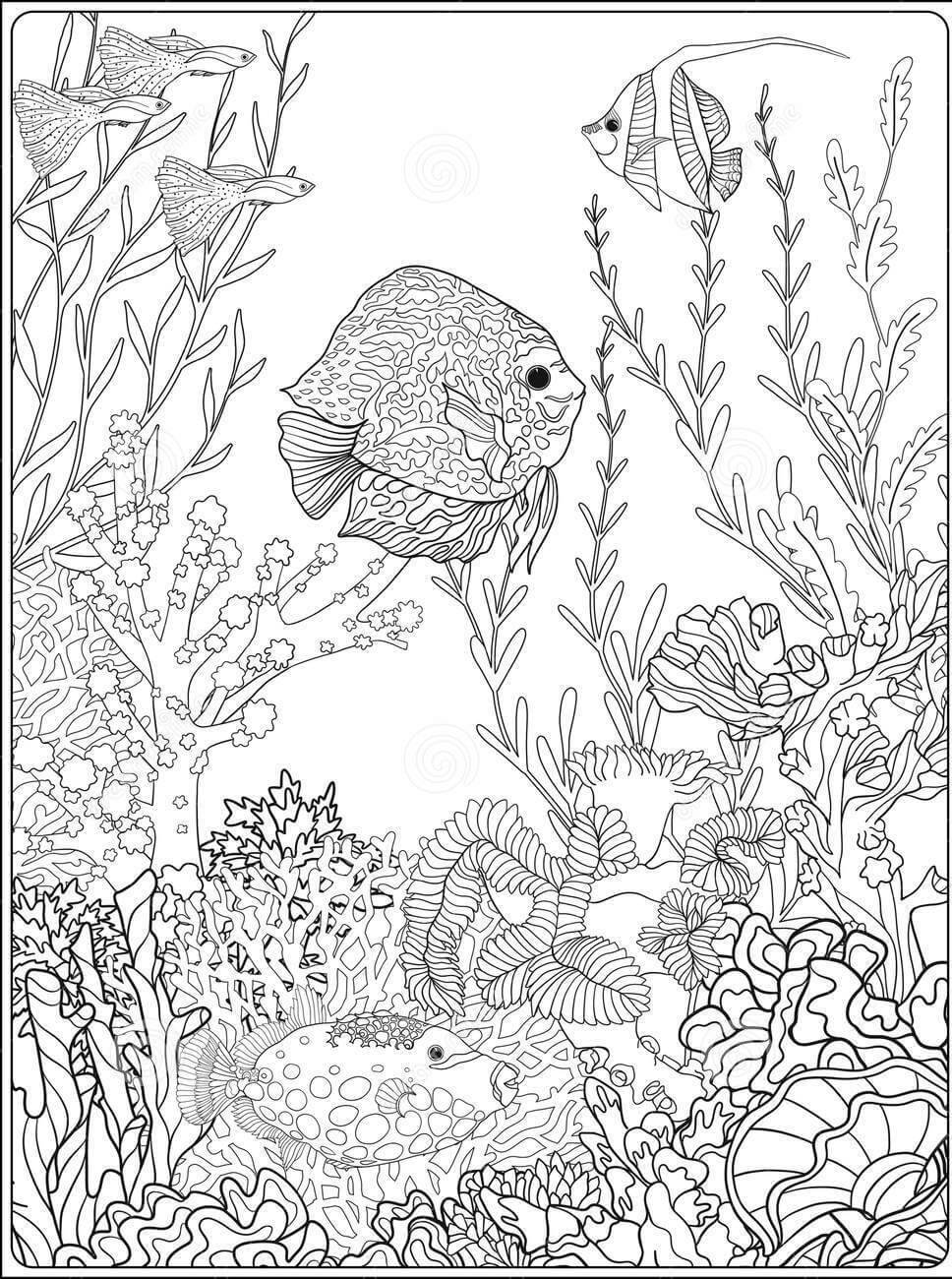 Dibujo de Dibujo de Coral para Colorear y Imprimir