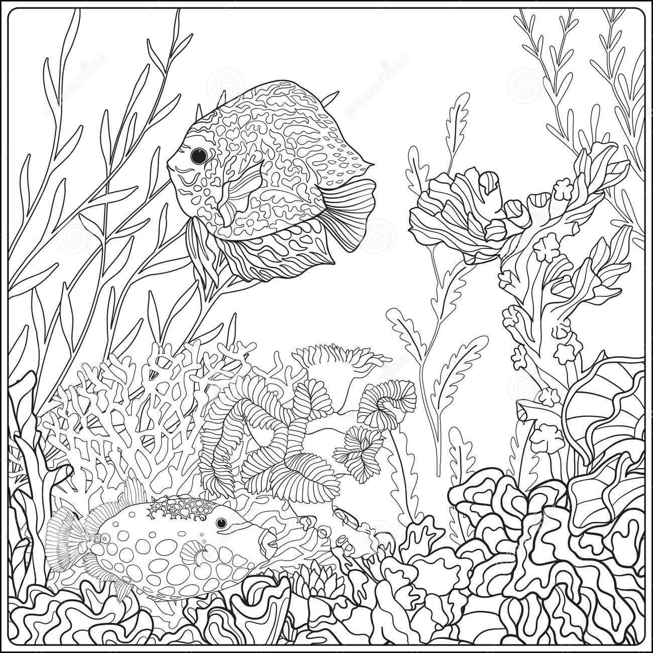 Dibujo de Hermoso Coral En El Mar para Colorear y Imprimir