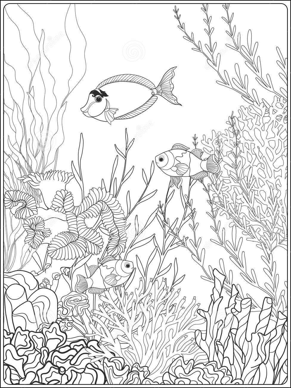 Dibujo de Hermoso Coral para Colorear y Imprimir