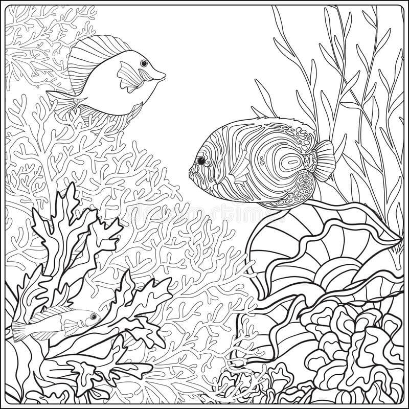 Coral para Colorear