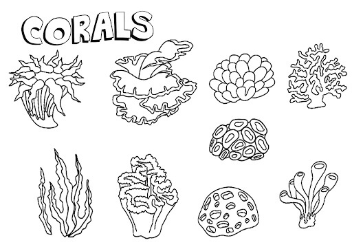 Dibujo de Nueve Coral para Colorear y Imprimir