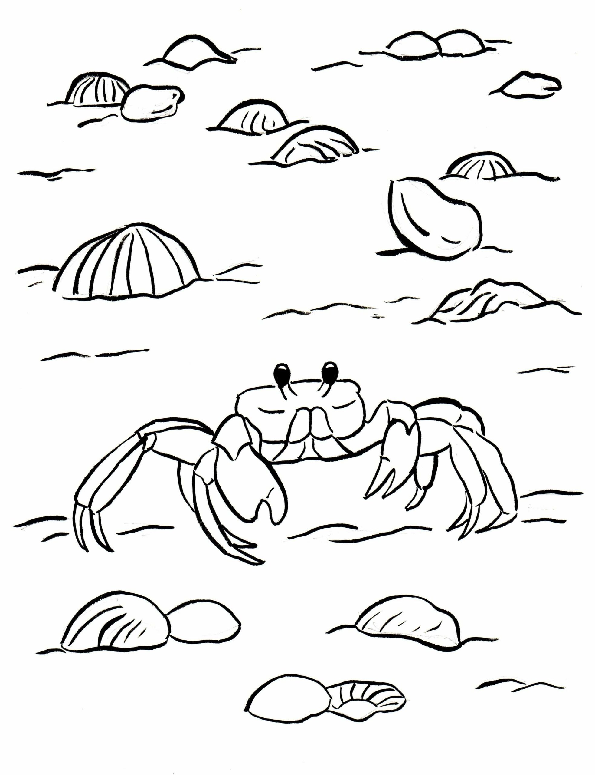 Dibujo de Cangrejo Caminando para Colorear y Imprimir