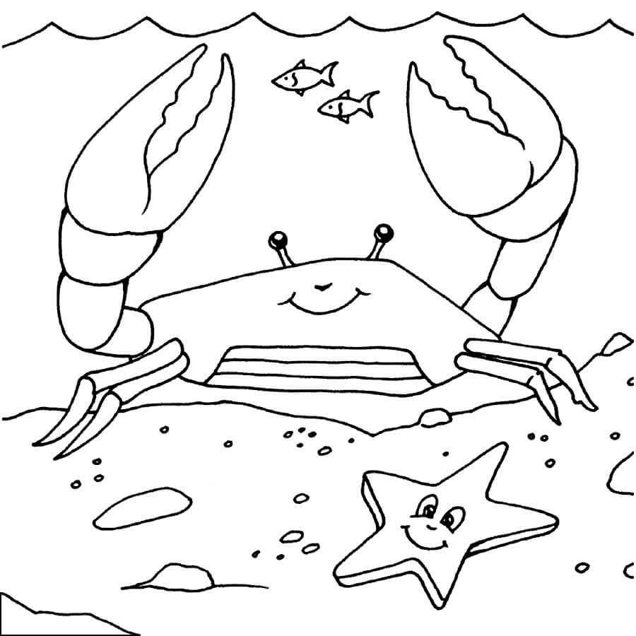 Dibujo de Cangrejo Con Estrella de Mar para Colorear y Imprimir
