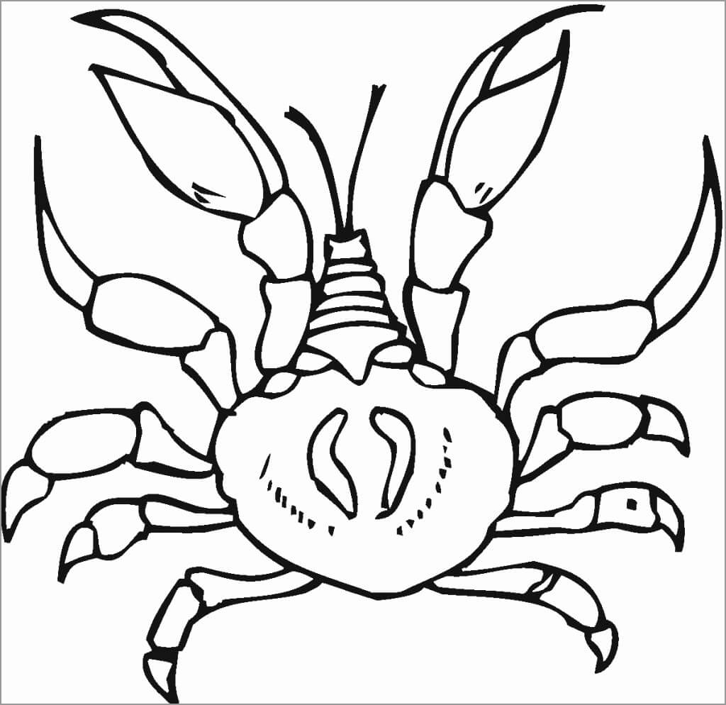 Dibujo de Cangrejo de Dibujo Normal para Colorear y Imprimir