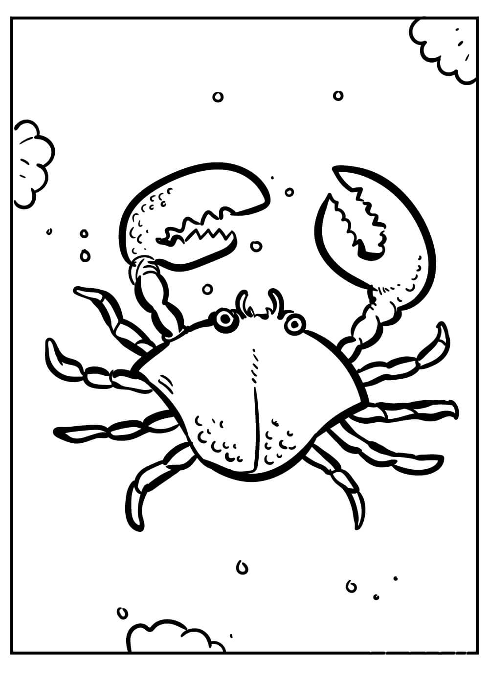 Dibujo de Cangrejo de Dibujo para Colorear y Imprimir