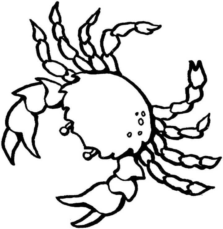 Dibujo de Cangrejo Dibujo Simple para Colorear y Imprimir
