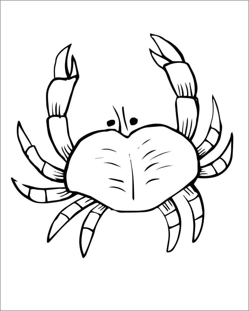 Dibujo de Cangrejo Imágenes Gratis para Colorear y Imprimir