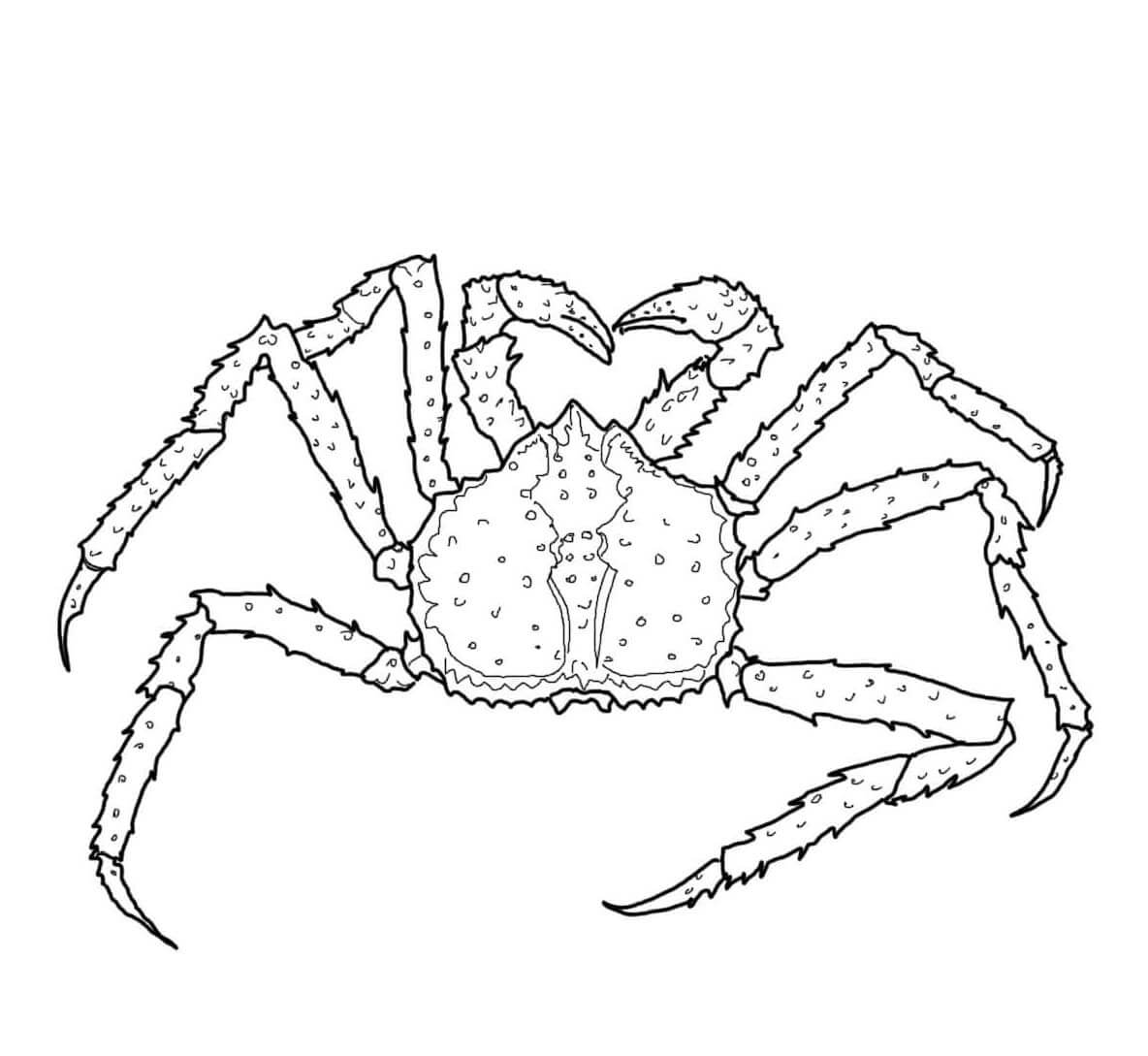 Dibujo de Cangrejo Real para Colorear y Imprimir