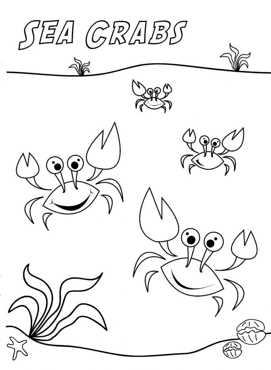 Dibujo de Cangrejos Marinos para Colorear y Imprimir
