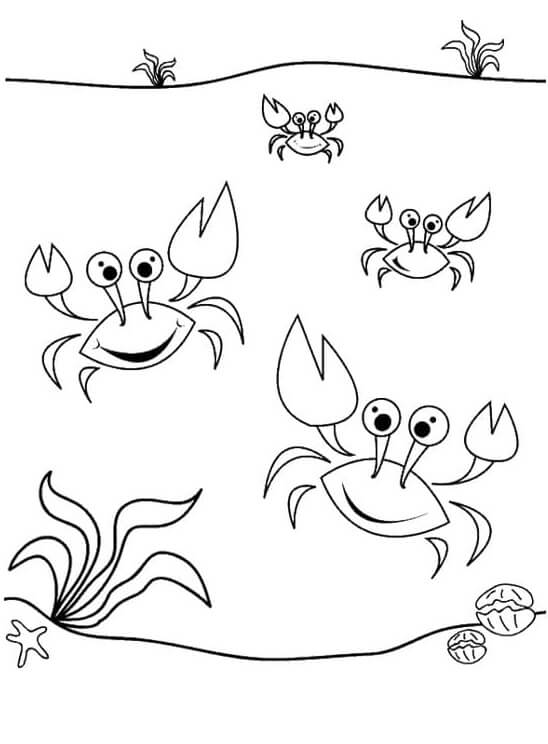 Dibujo de Cuatro Cangrejos Bailando para Colorear y Imprimir