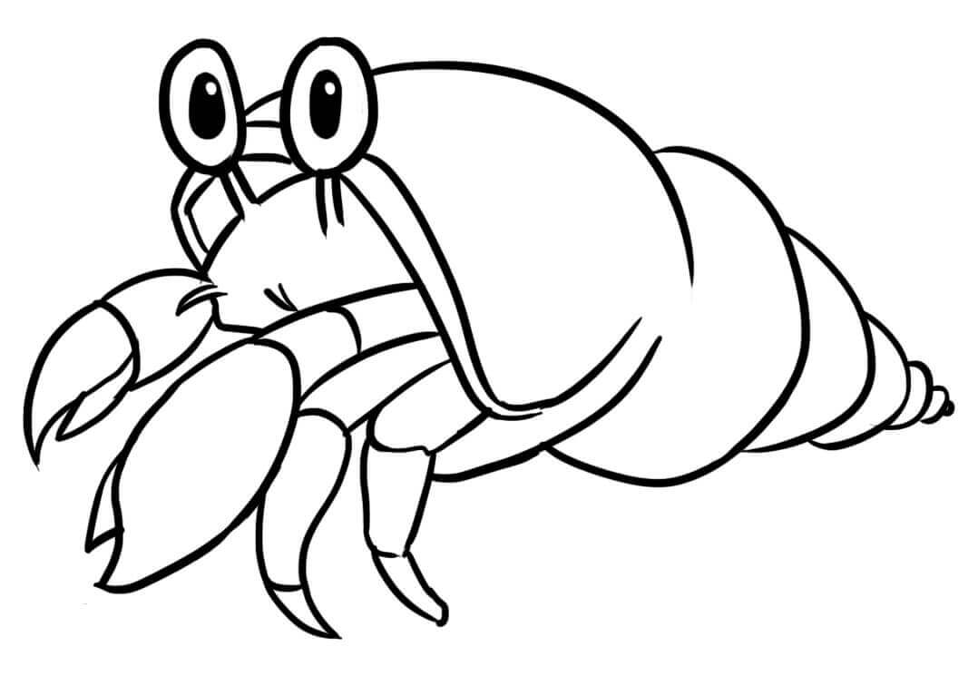 Dibujo de Pequeño Cangrejo Ermitaño Lindo para Colorear y Imprimir